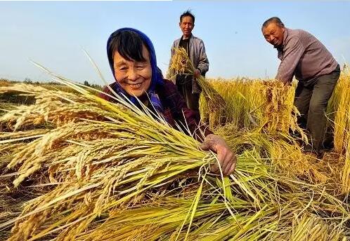 重磅！繼包產(chǎn)到戶之后，我國(guó)農(nóng)村又一次迎來(lái)重大改革